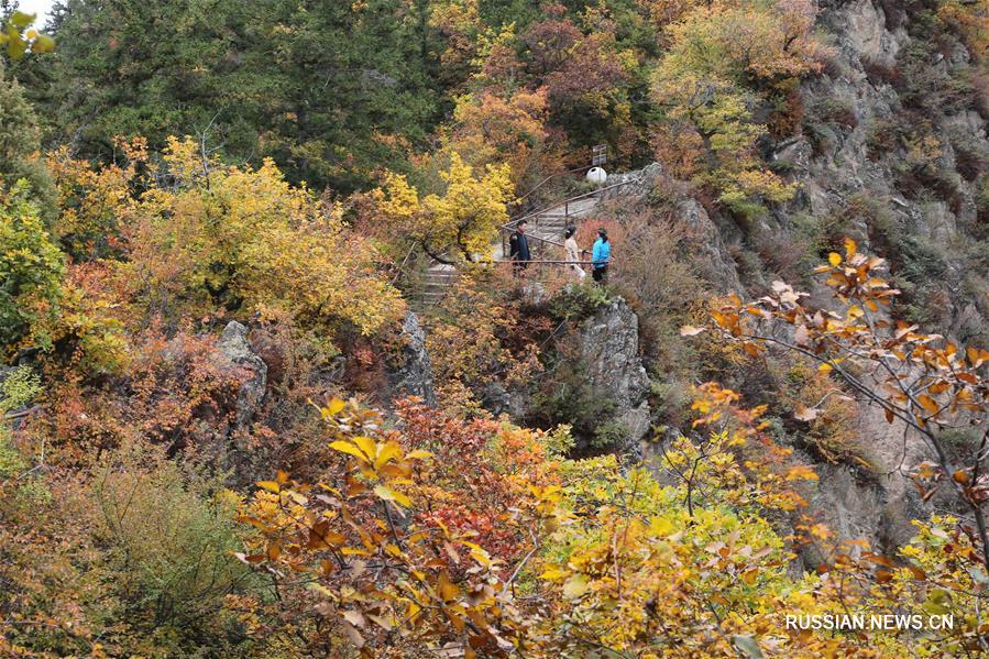 Золотая осень в заповеднике Синлуншань