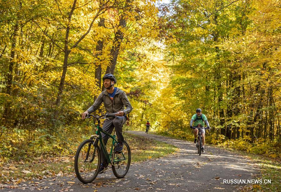 Осенний пейзаж в восточной части американского штата Мичиган