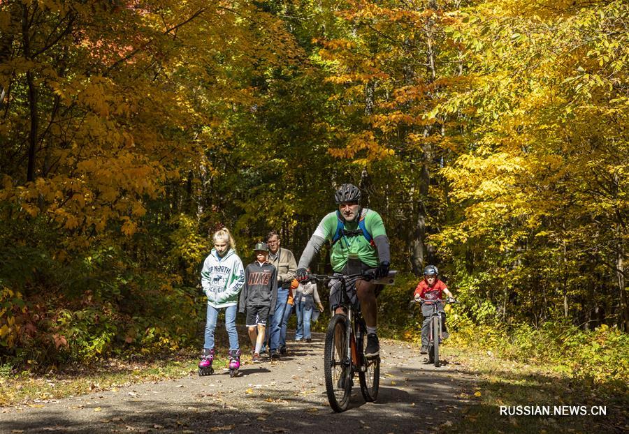 Осенний пейзаж в восточной части американского штата Мичиган