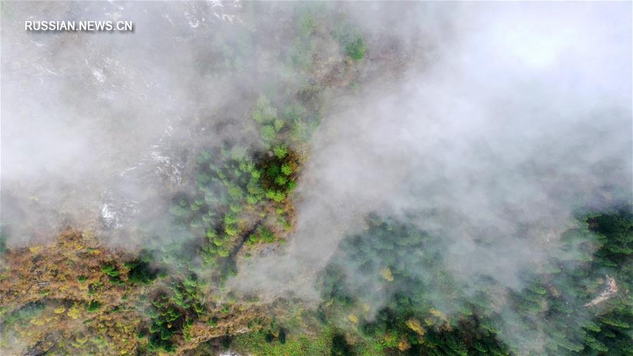 Осенний туман над ландшафтным парком Чжагана