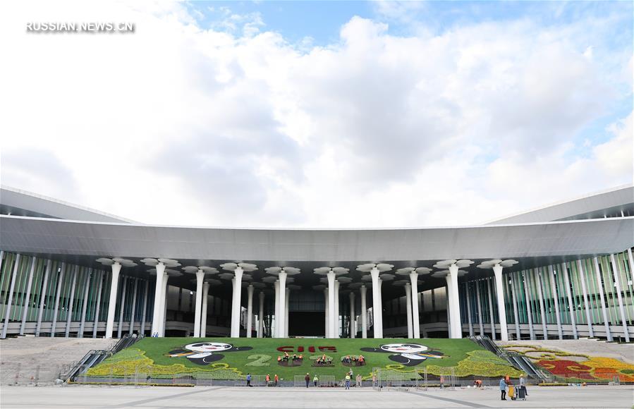 Шанхай украшают картинами из цветов в преддверии 3-го импортного ЭКСПО