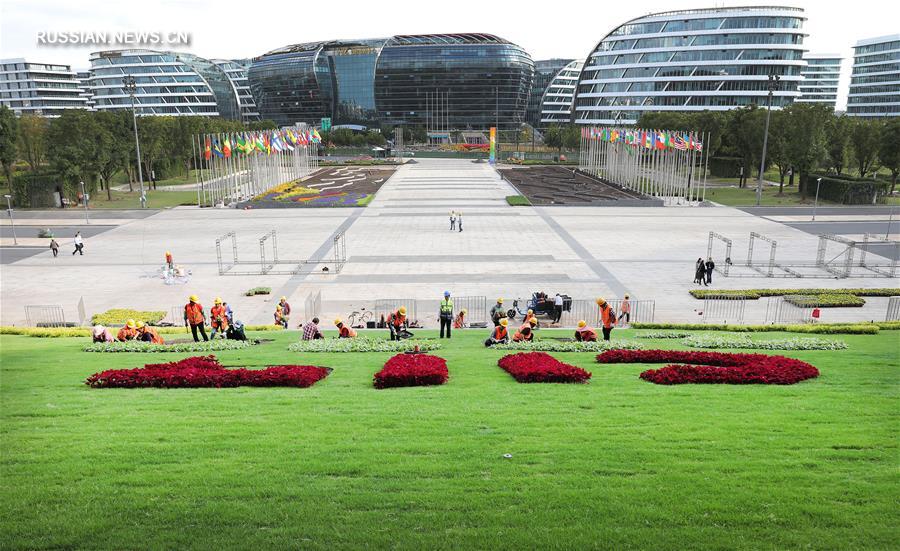 Шанхай украшают картинами из цветов в преддверии 3-го импортного ЭКСПО