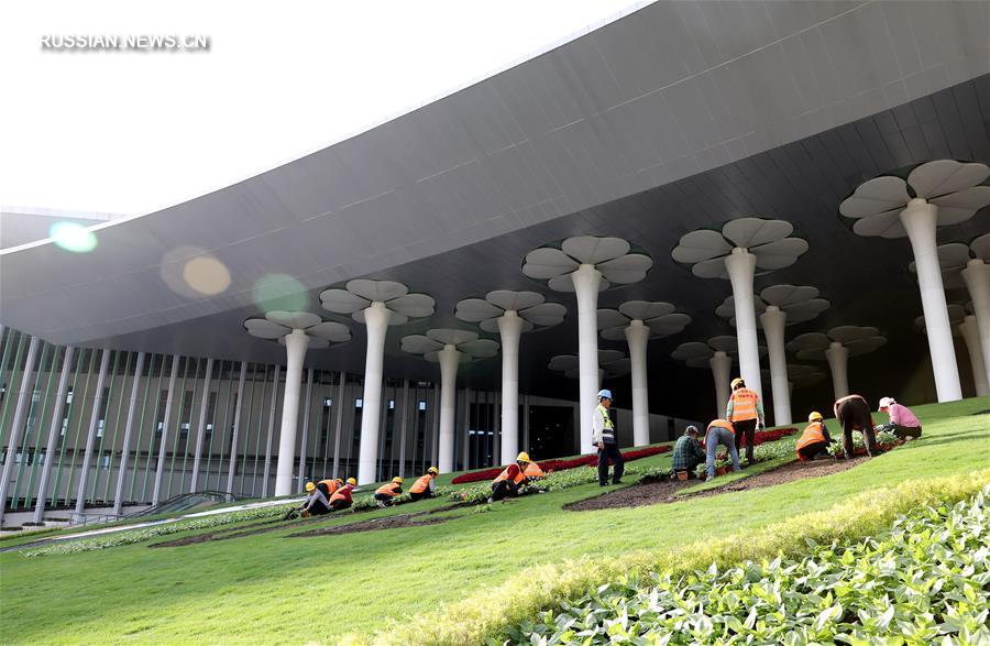 Шанхай украшают картинами из цветов в преддверии 3-го импортного ЭКСПО