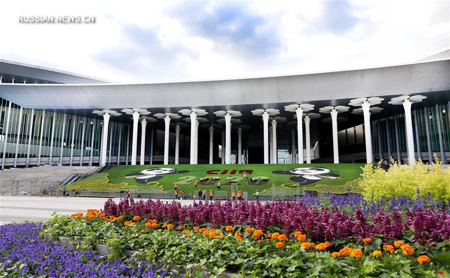 Шанхай украшают картинами из цветов в преддверии 3-го импортного ЭКСПО