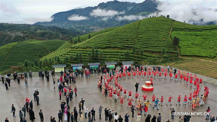 Чайный туризм в горах провинции Хубэй