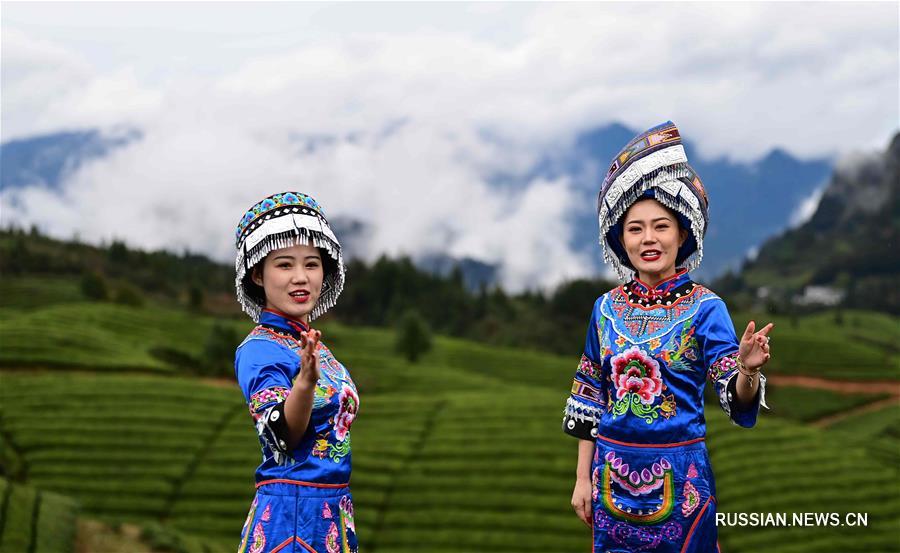 Чайный туризм в горах провинции Хубэй