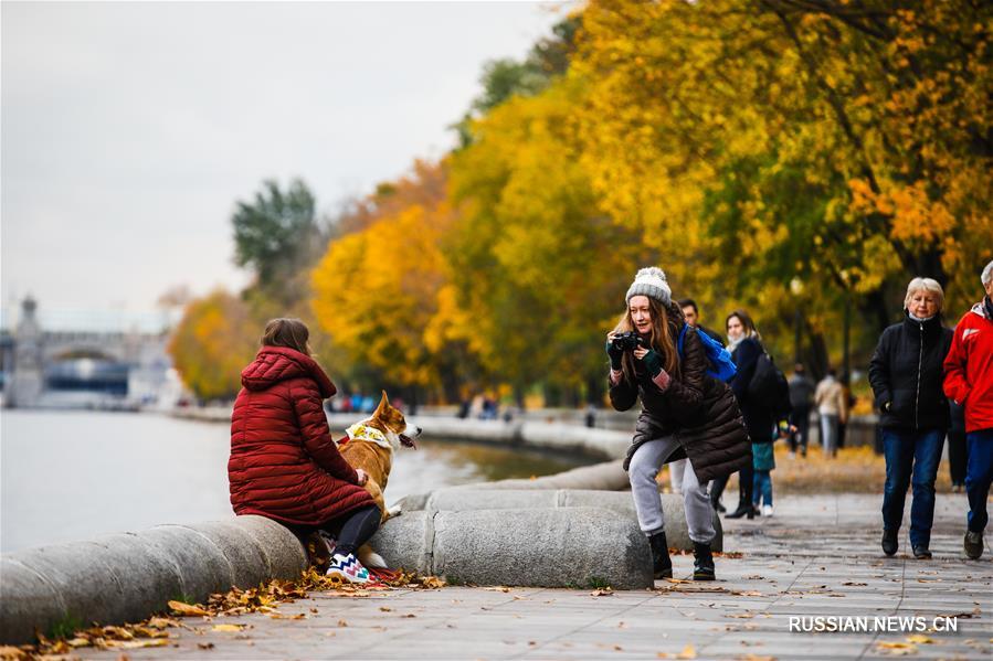 Золотая осень в московских парках