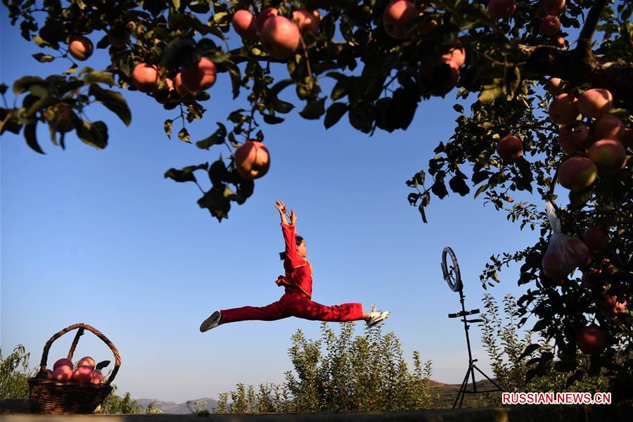 Танец в поддержку яблок из родной деревни в провинции Шаньдун