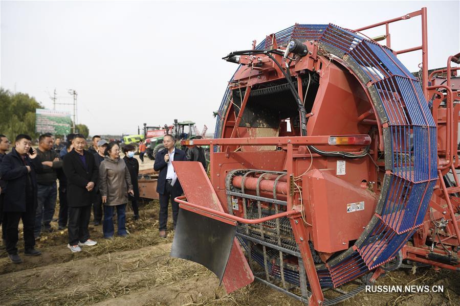 Картофелеуборочные комбайны нового типа были представлены на картофельных полях в Северо-Западном Китае