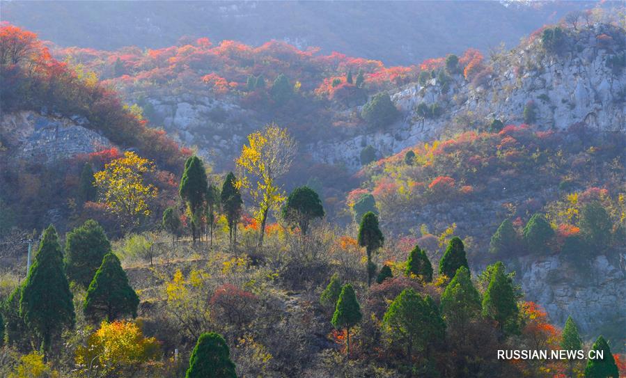 Прекрасная осень на склонах Тайханшань 