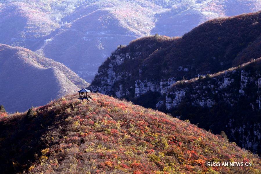Прекрасная осень на склонах Тайханшань 