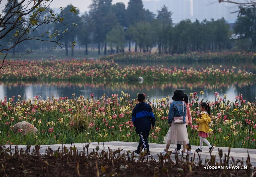 Чудесное преображение озера Янбэйху в Ханчжоу