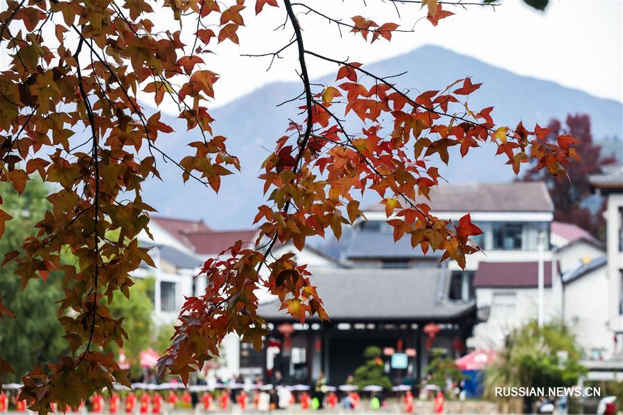 Чжинаньский фестиваль красных листьев в провинции Чжэцзян