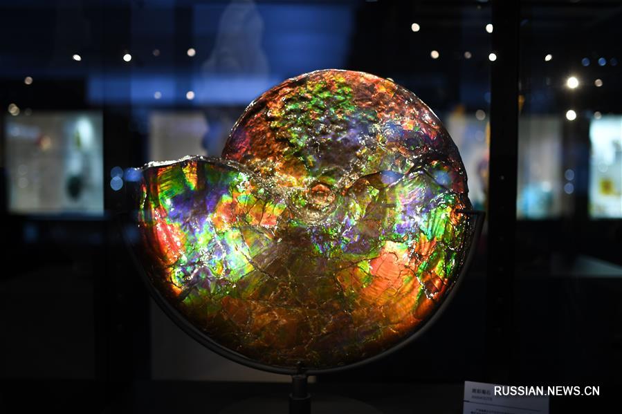 3-е CIIE -- Многообразие, роскошь, футуристичность 