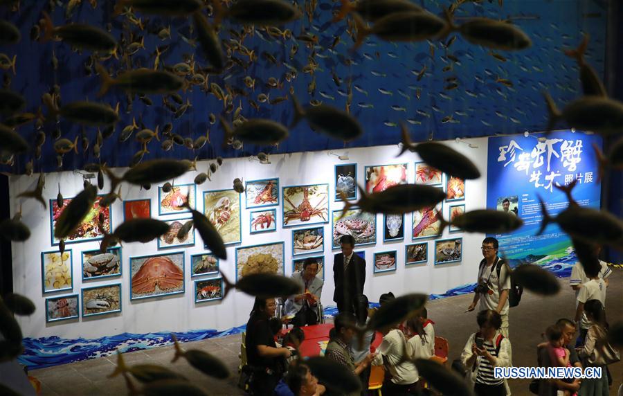 Выставка редких крабов в Пекинском океанариуме