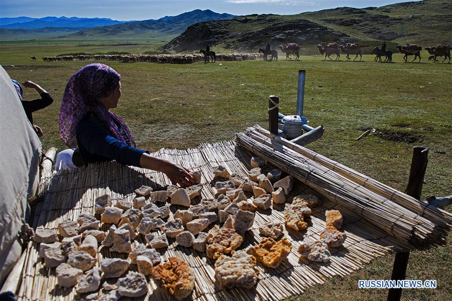 Оживление на весеннем пастбище в уезде Чингиль