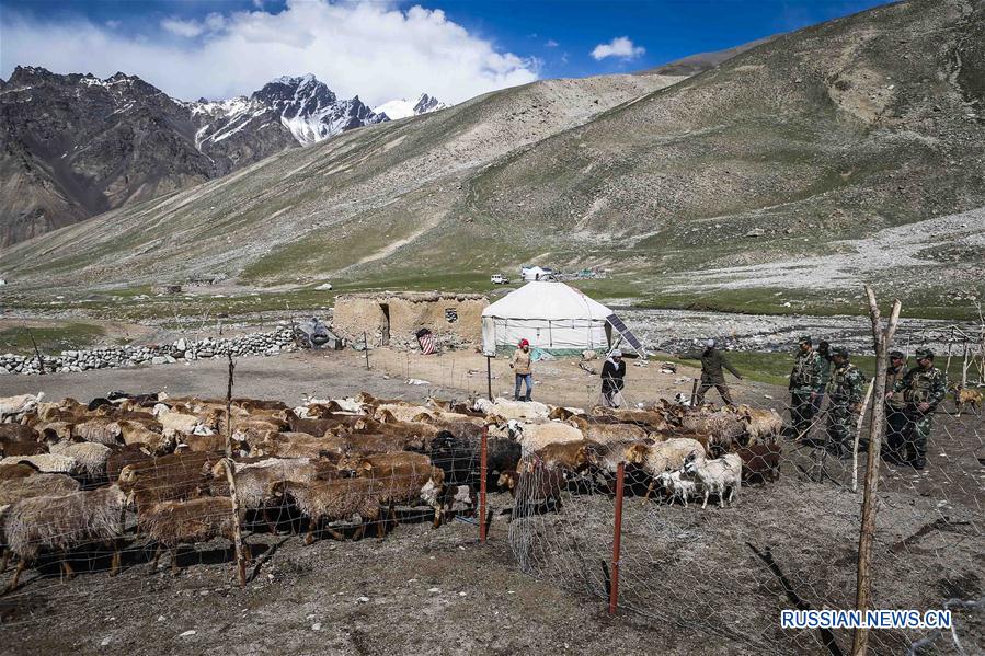 Летние заботы скотоводов-кочевников в Ваханском коридоре
