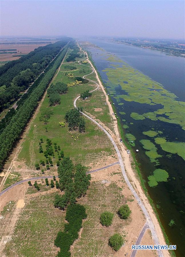 Строящийся парк водно-болотных угодий реки Чаобайхэ в Тяньцзине