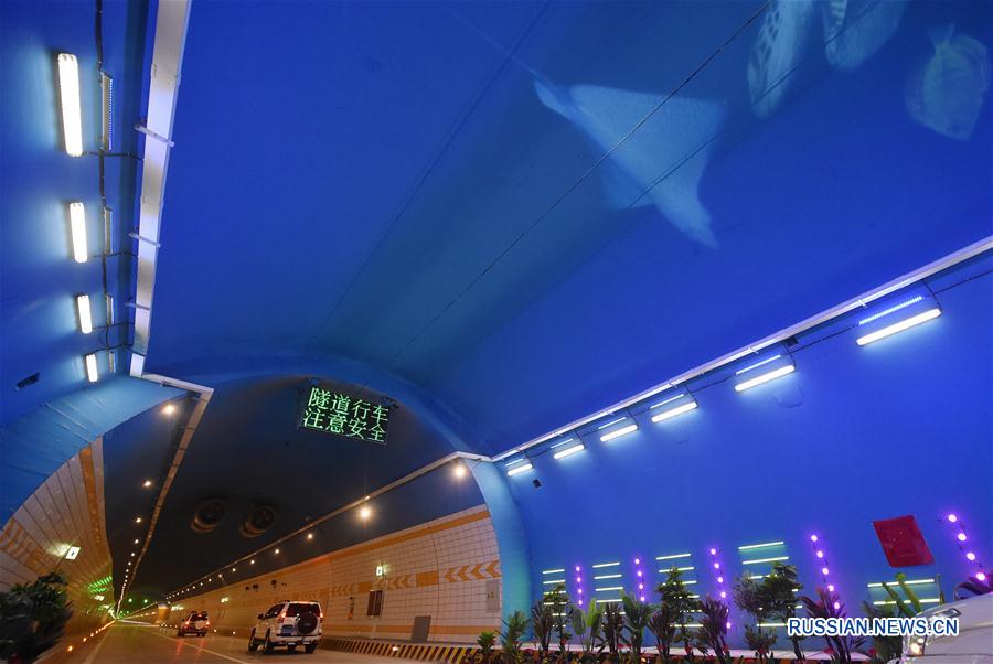 Картины подводного мира внутри нового скоростного тоннеля Люпаньшань