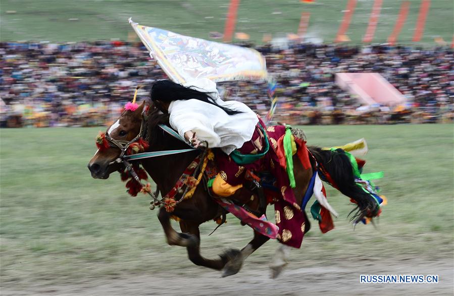 Конно-спортивный фестиваль в провинции Цинхай