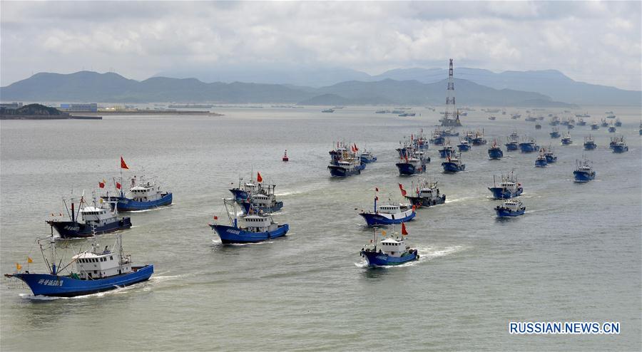 В Китае завершился летний запрет на лов рыбы в заливе Бохай, Желтом и Восточно-Китайском морях