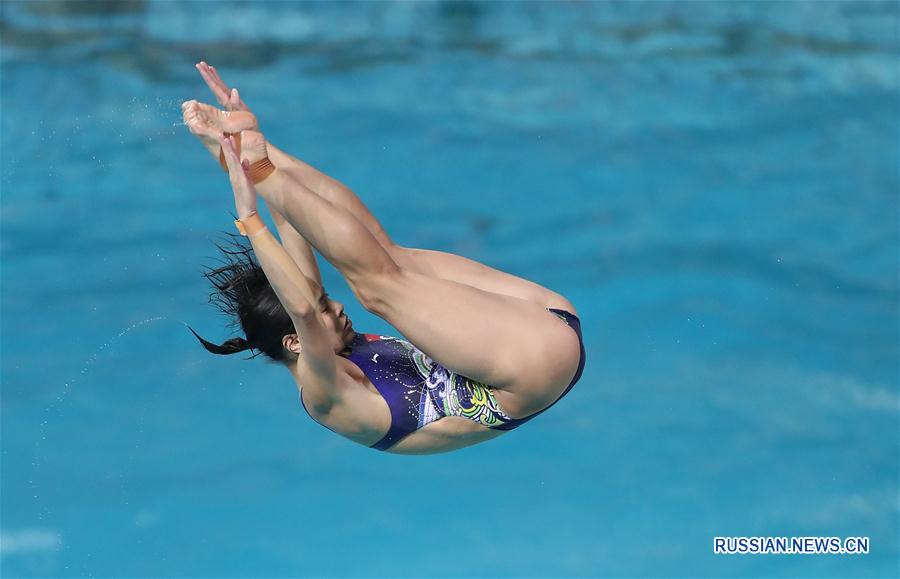 （里约奥运会）（1）跳水——中国跳水队在里约进行适应性训练