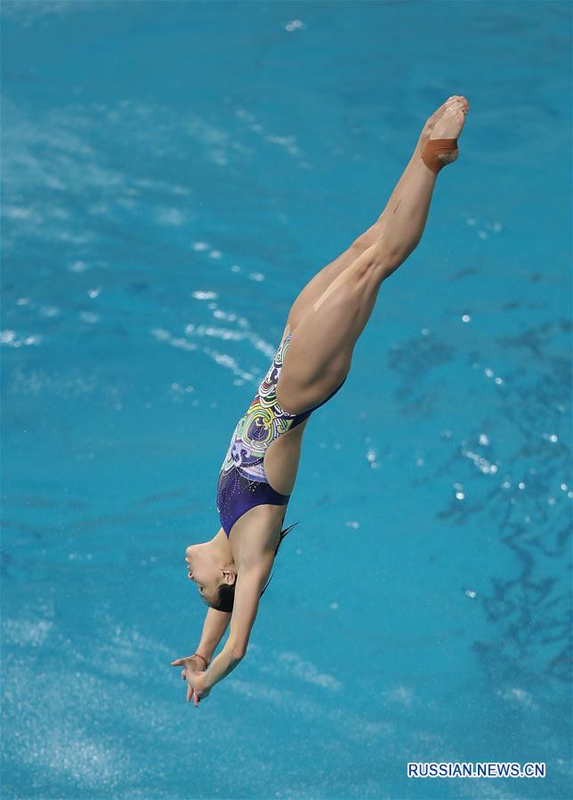 （里约奥运会）（2）跳水——中国跳水队在里约进行适应性训练
