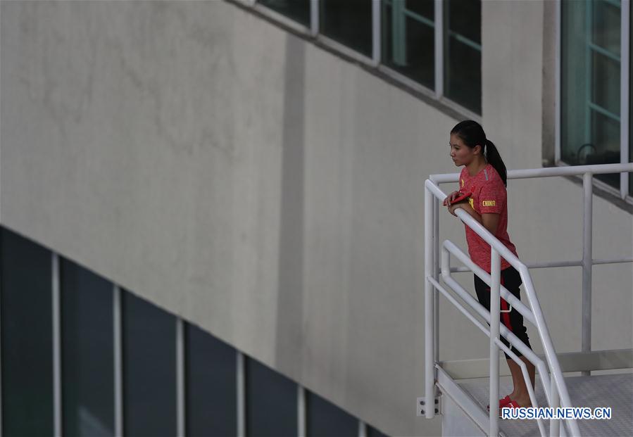 （里约奥运会）（7）跳水——中国跳水队在里约进行适应性训练