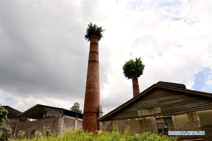 Старые дымовые трубы превратились в сады в провинции Фуцзянь