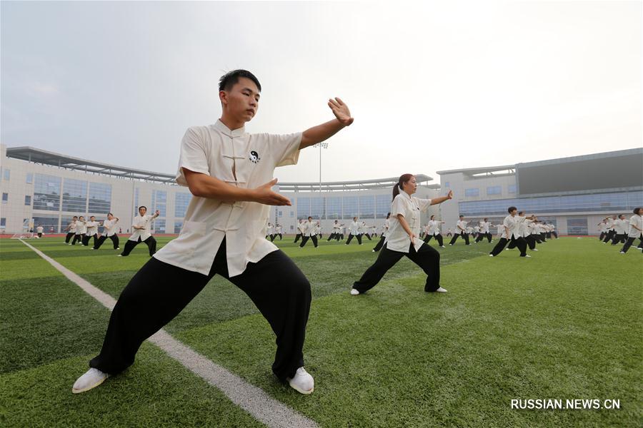 Поклонники тайцзицюань собрались на бесплатных занятиях в провинции Шаньдун 