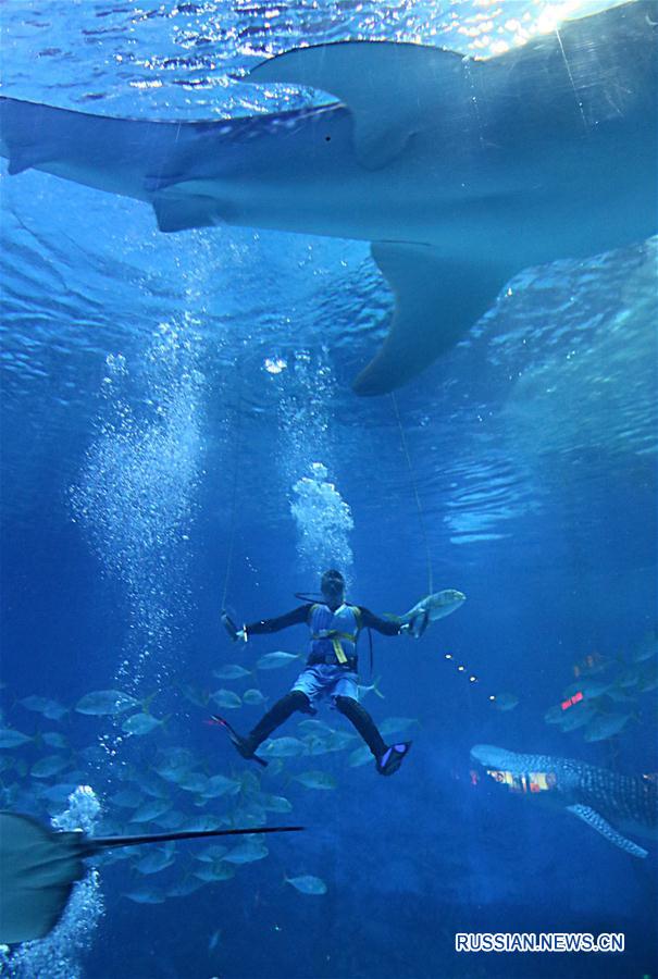Шоу "Подводная Олимпиада" в городе Яньтай