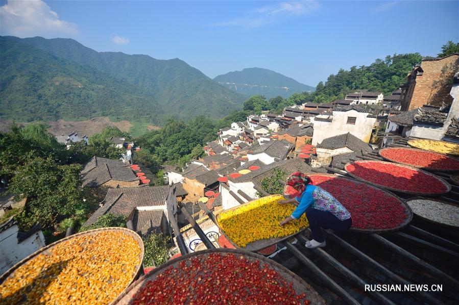 Фермеры из Цзянси сушат урожай на крышах домов
