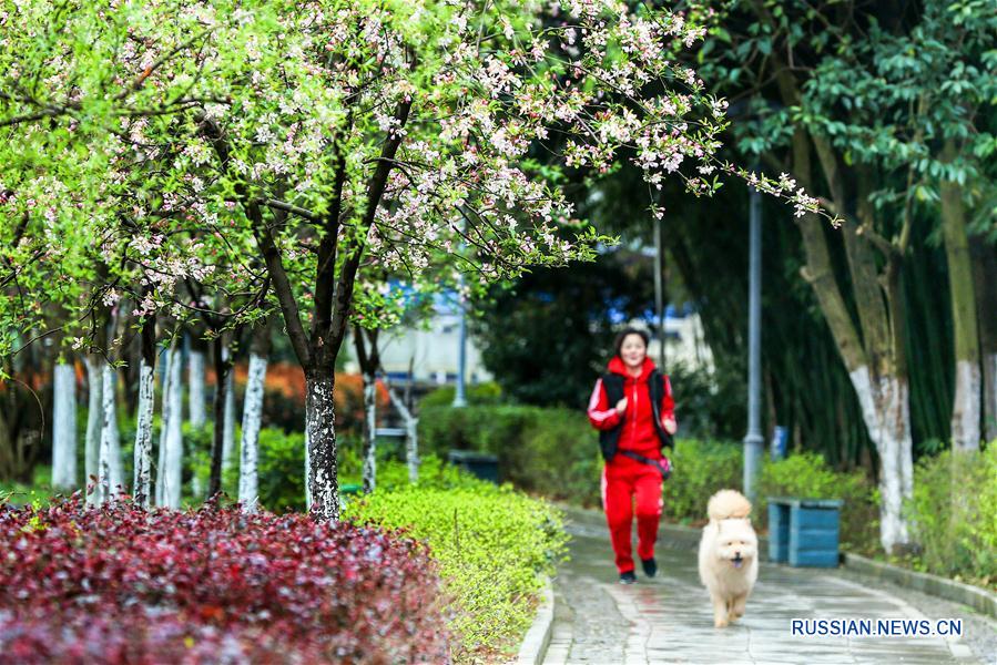 Зеленый город Кайли в Гуйчжоу