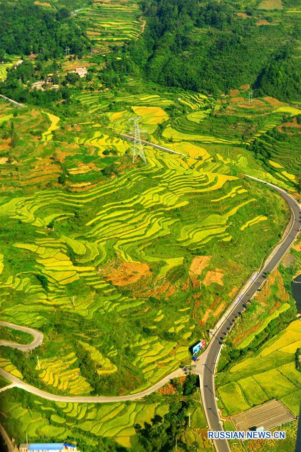 Террасные поля уезда Хуанпин с высоты птичьего полета