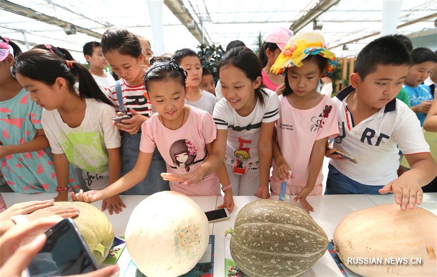 Урок в теплице -- школьники из Циндао знакомятся с сельским хозяйством