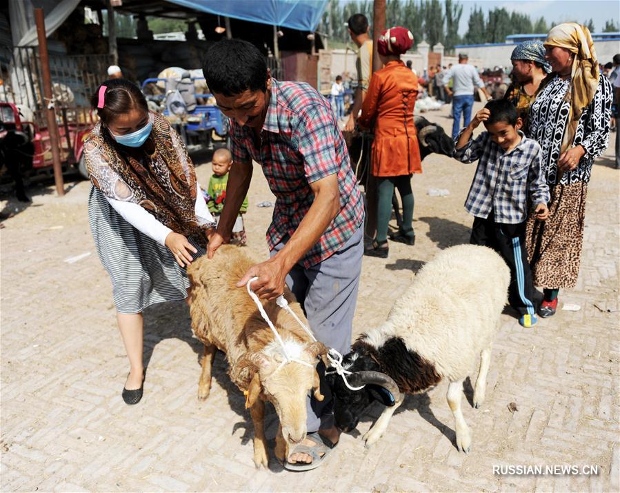 В Синьцзяне мусульмане готовятся к празднику Курбан-байрам