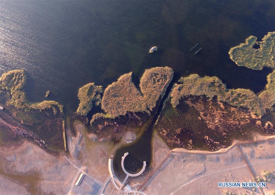 Жемчужина посреди пустыни -- озеро Цзюйяньхай