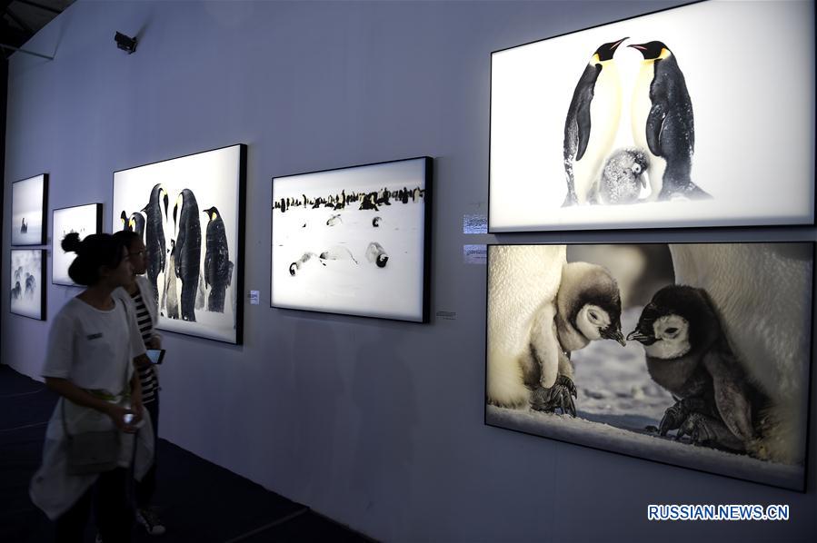 В древнем китайском городке Пинъяо открылась Международная фотовыставка