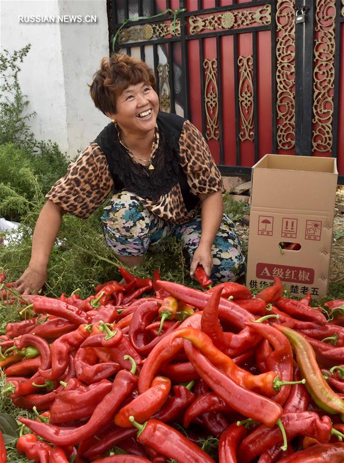Экспорт овощей и фруктов из Китая через КПП Бакту