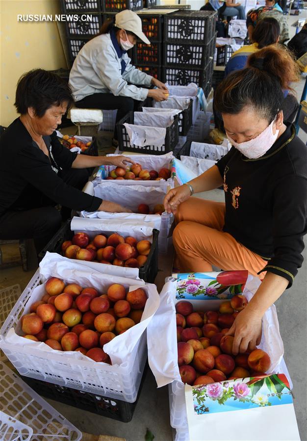 Экспорт овощей и фруктов из Китая через КПП Бакту