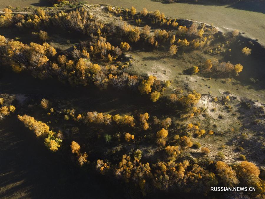 Осень в степях Внутренней Монголии