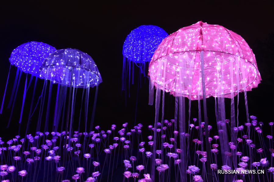Световая инсталляция "Море роз" в Фучжоу