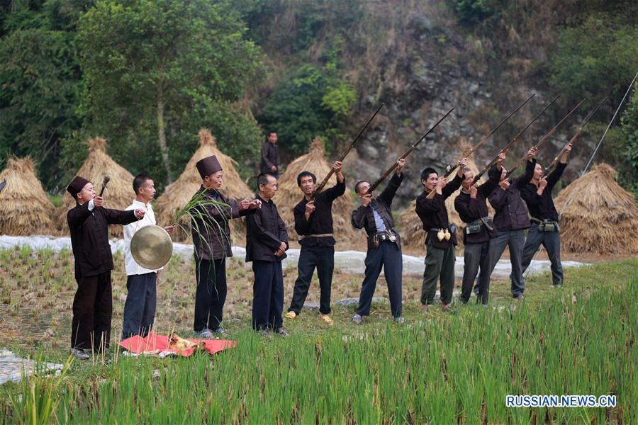Фестиваль жареной рыбы в дунской деревне в провинции Гуйчжоу