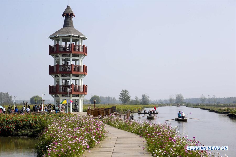 Море осенних цветов в Цзянсу