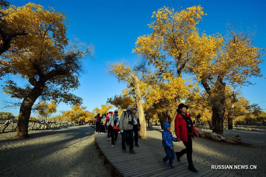 Золотая осень в хошуне Эдзин-Ци во Внутренней Монголии