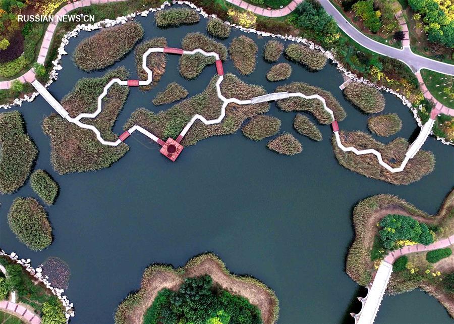 Прекрасный парк вместо отстойника сточных вод -- парк Линьган в Тяньцзине