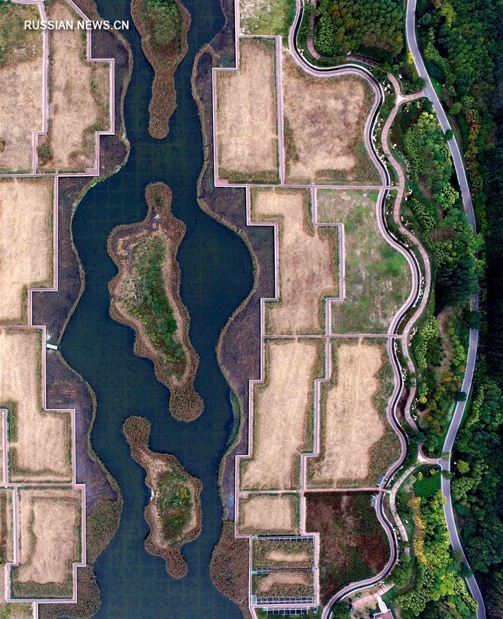 Прекрасный парк вместо отстойника сточных вод -- парк Линьган в Тяньцзине