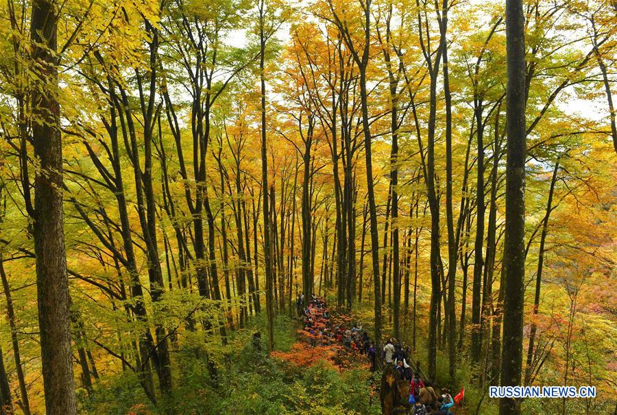 Осень в горах Гуанъушань