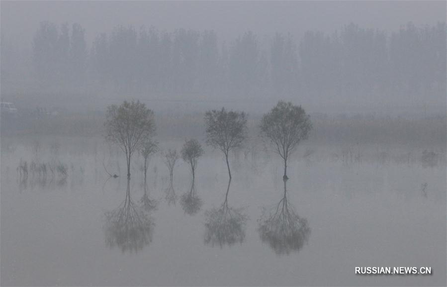 Туман над Китаем 