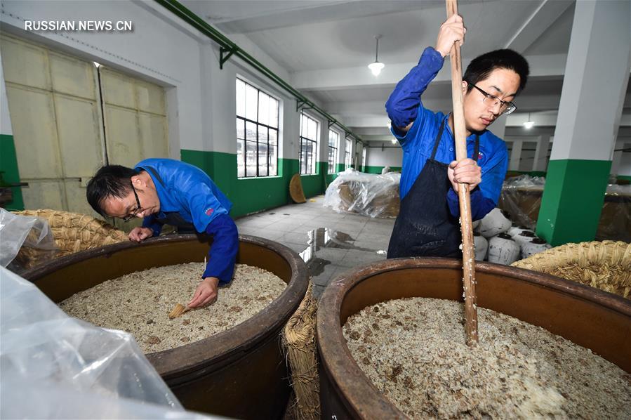 В Шаосине начался сезон изготовления рисового вина